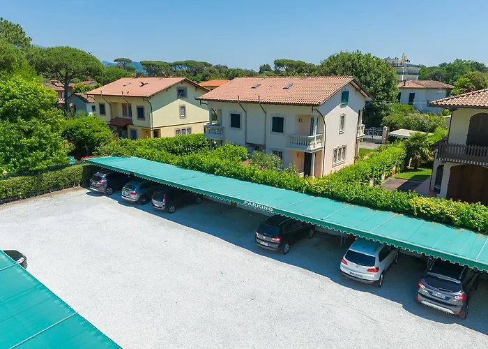 酒店 瑞士酒店 3*